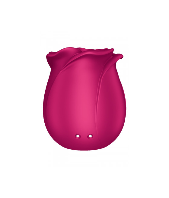 Stimulateur clitoridien Satisfyer Pro 2 Classic Blossom Stimulateur clitoridien Satisfyer Pro 2 Classic Blossom