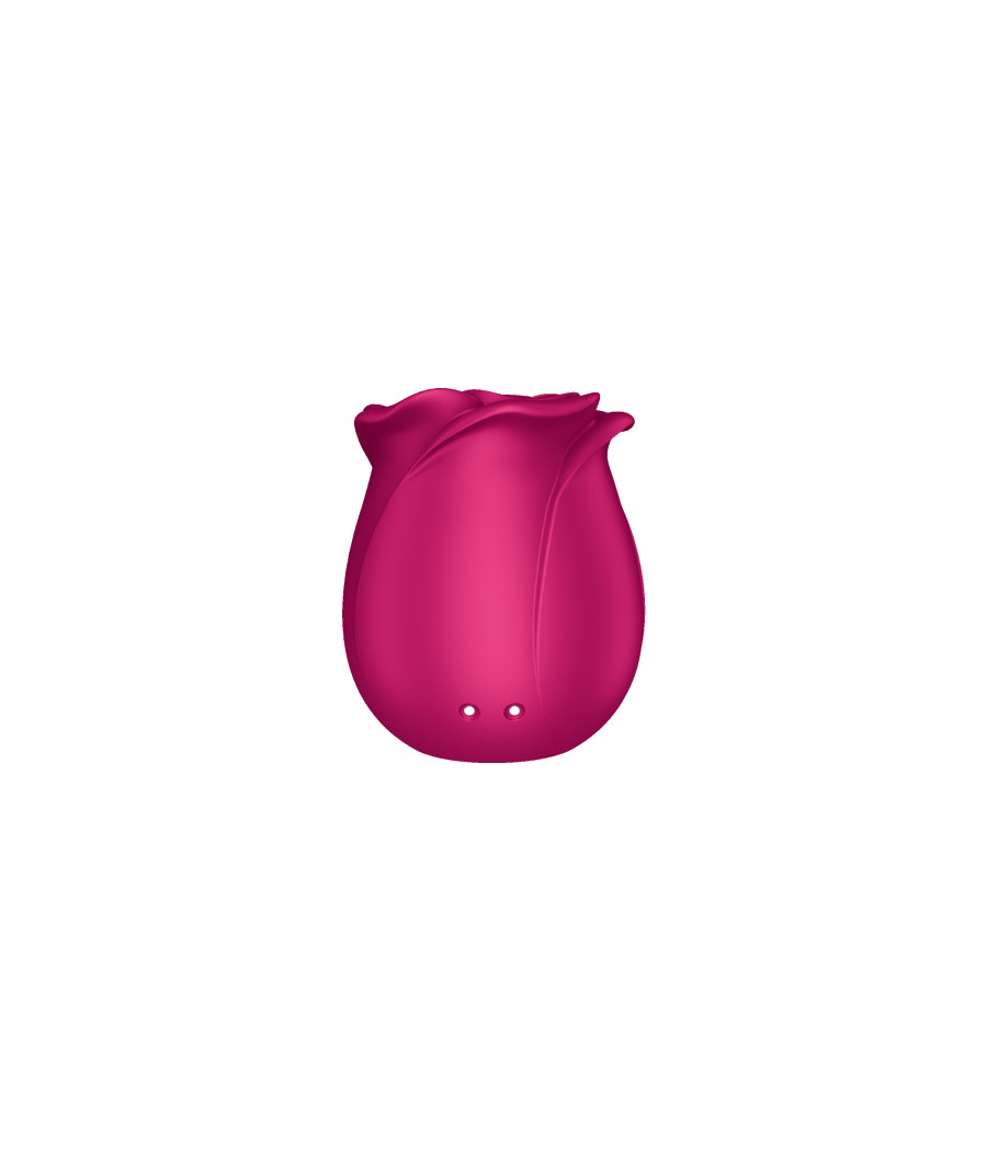 Stimulateur clitoridien Satisfyer Pro 2 Classic Blossom