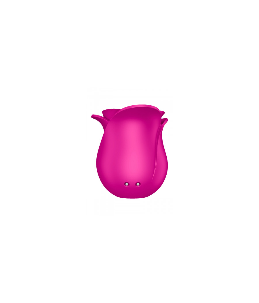 Stimulateur clitoridien Satisfyer Pro 2 Modern Blossom