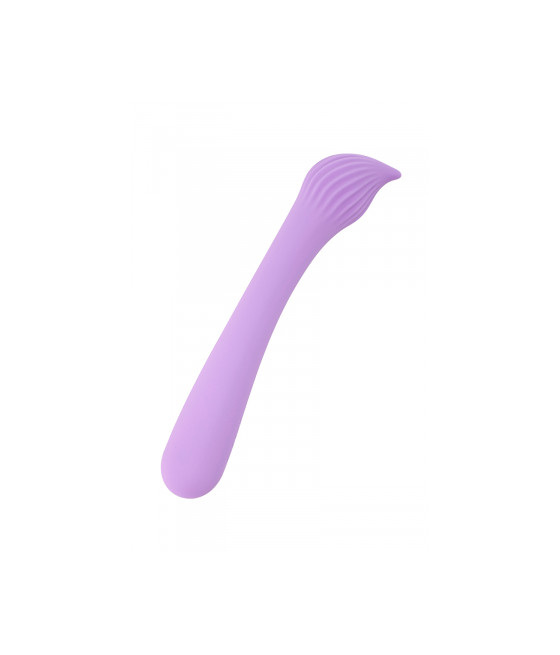 Vibro rechargeable Passionmania violet - FairyGasm