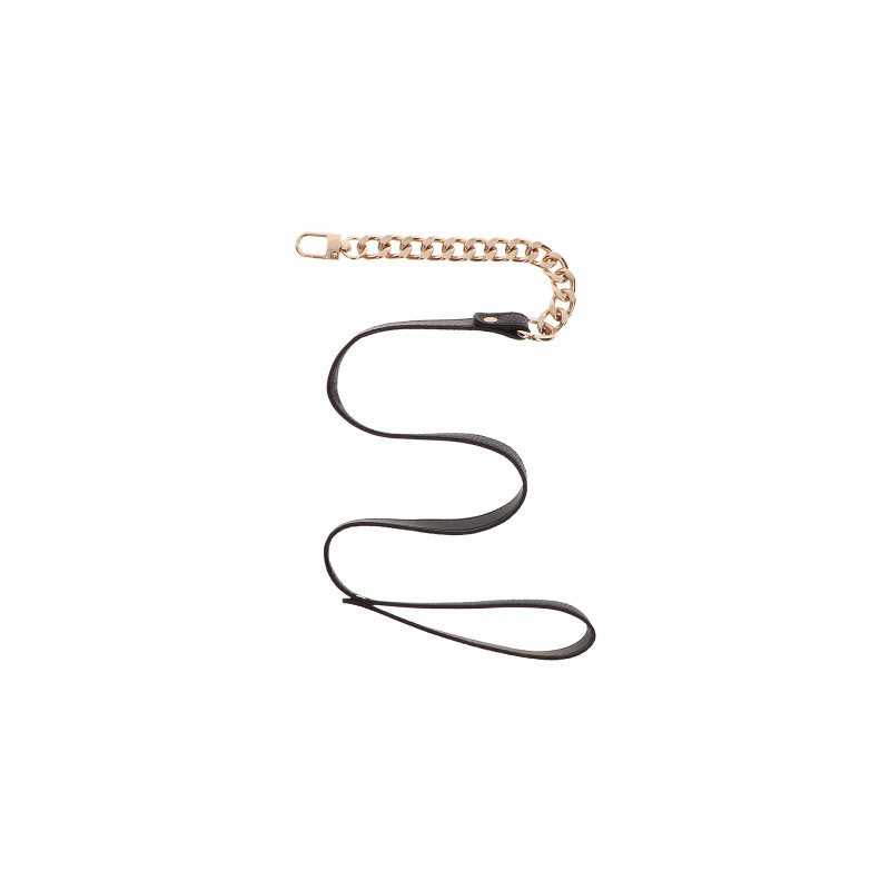 Collier et laisse Statement - Taboom