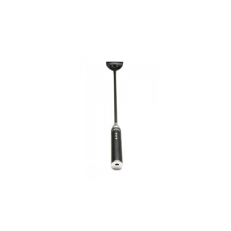 Cravache à Électro-Stimulation