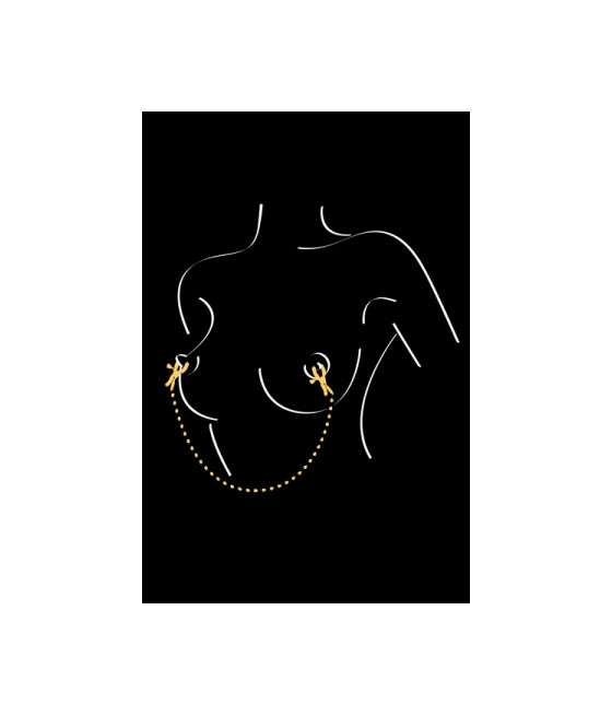 Chaine et pinces à seins Sweet Caress