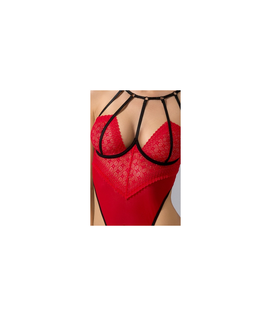 Body ouvert Akita