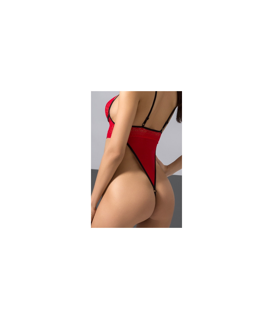 Body ouvert Akita