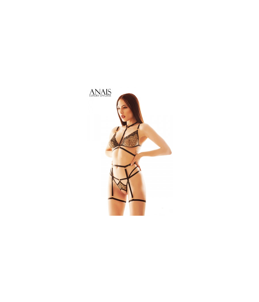 Ensemble harnais et lingerie Cozmo Ensemble harnais et lingerie Cozmo