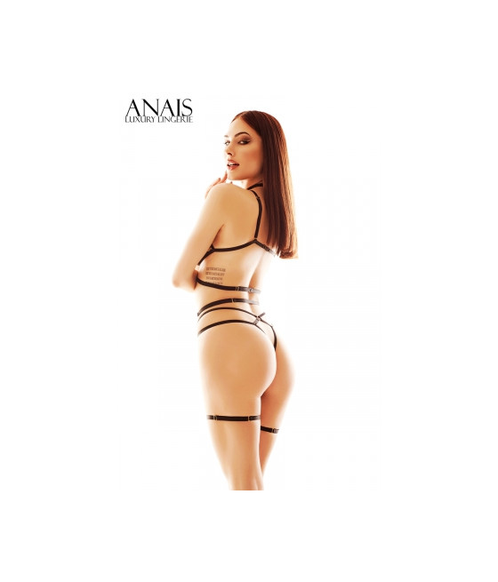 Ensemble harnais et lingerie Cozmo