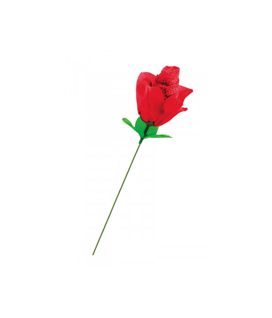 Rose surprise avec petite culotte - Fun Novelties