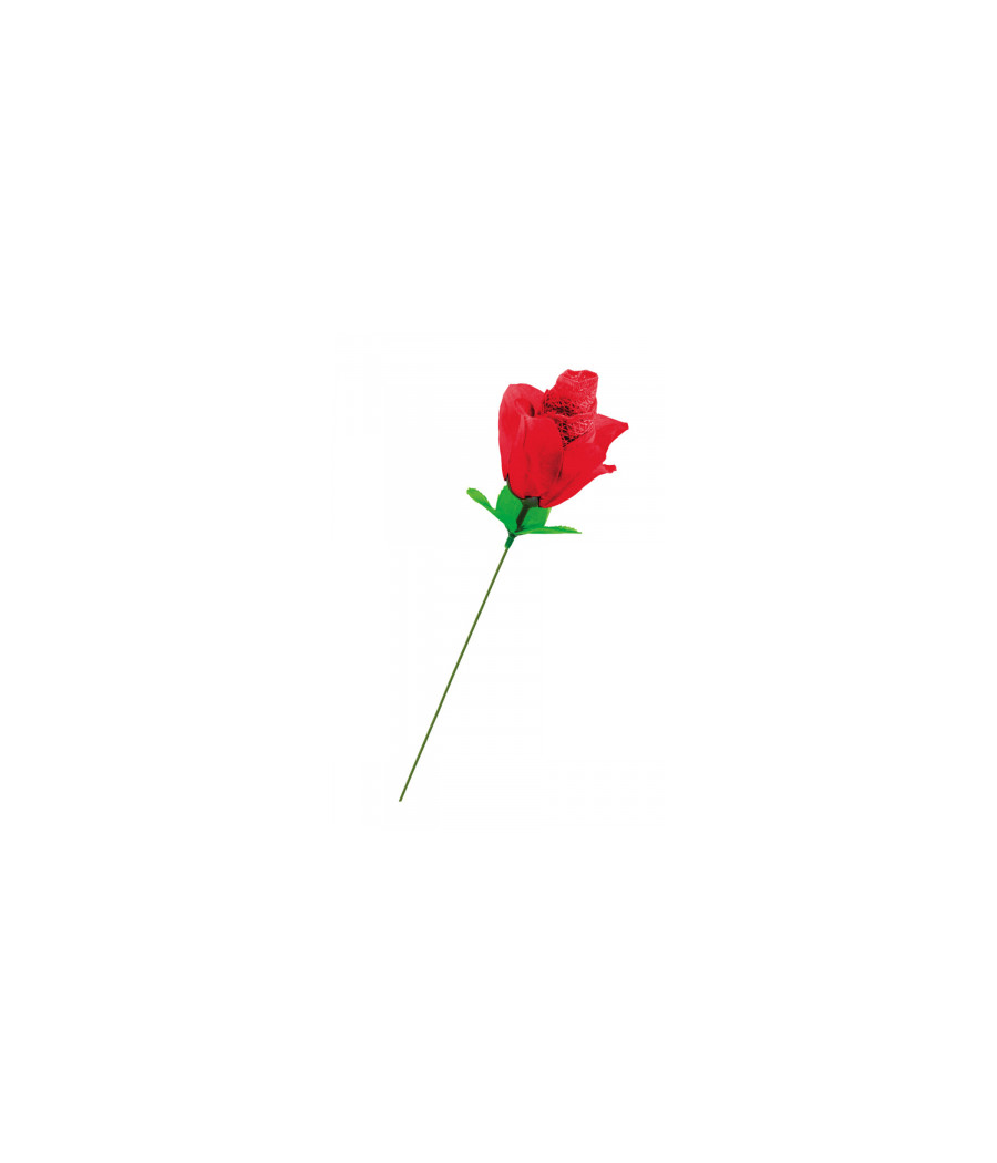 Rose surprise avec petite culotte - Fun Novelties