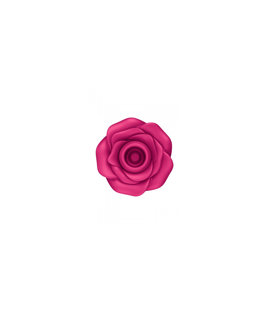 Stimulateur clitoridien Satisfyer Pro 2 Classic Blossom