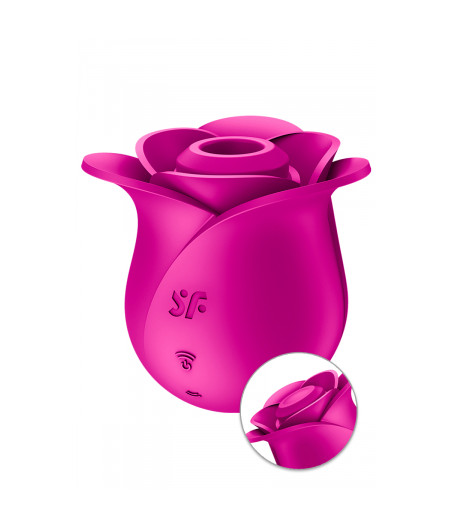 Stimulateur clitoridien Satisfyer Pro 2 Modern Blossom