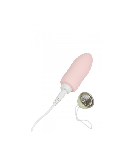 Oeuf vibrant télécommandé Dingus - Wooomy