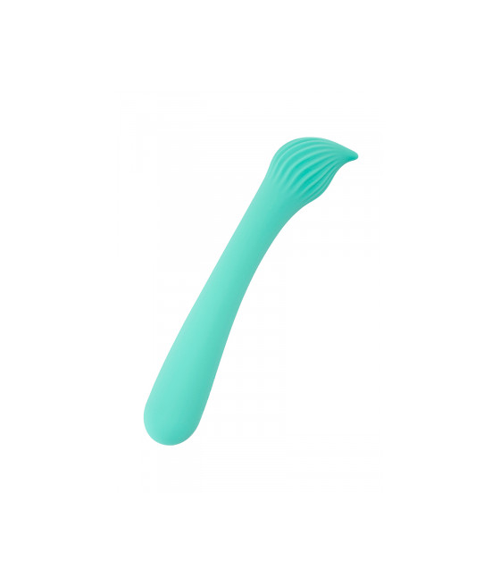 Vibro rechargeable Passionmania vert - FairyGasm