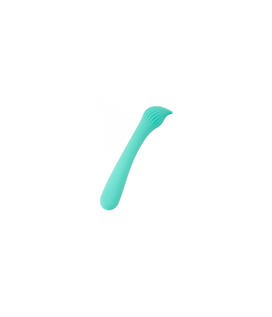 Vibro rechargeable Passionmania vert - FairyGasm
