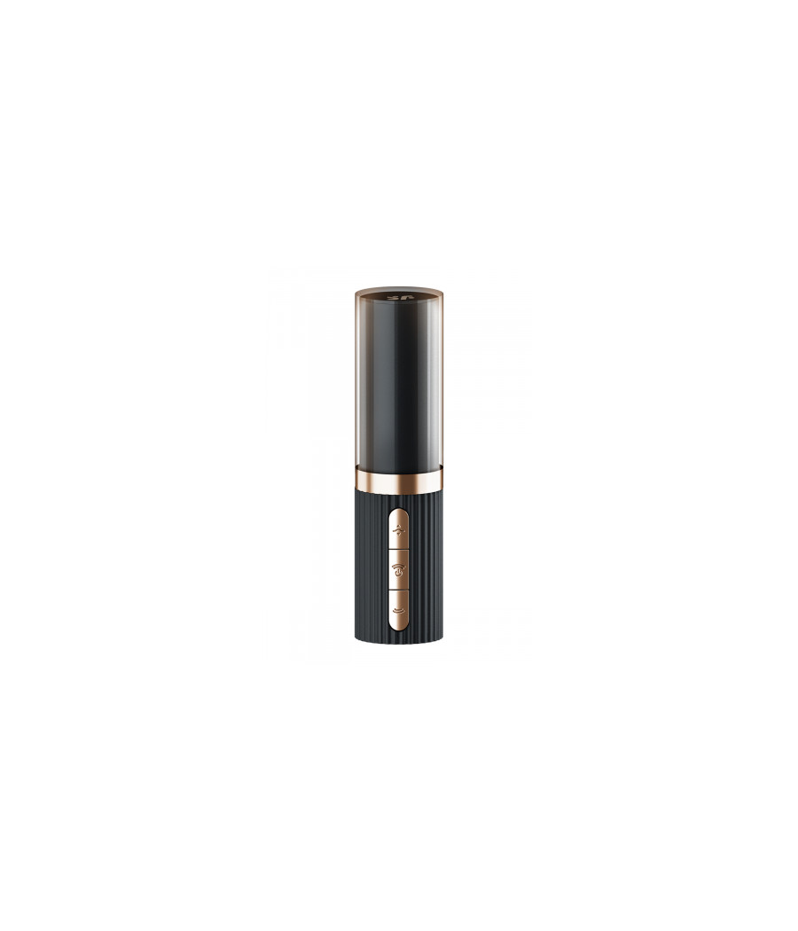 Stimulateur clitoridien Satisfyer Pro 2 Kiss