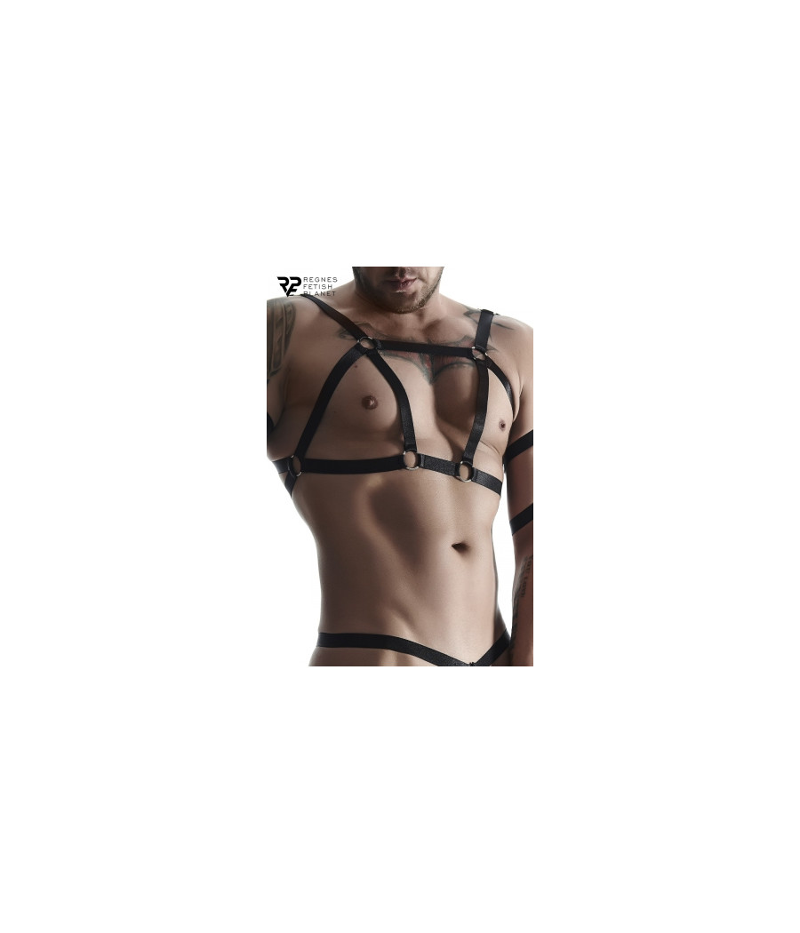 Ensemble harnais et deux strings ouverts - Regnes Ensemble harnais et deux strings ouverts - Regnes