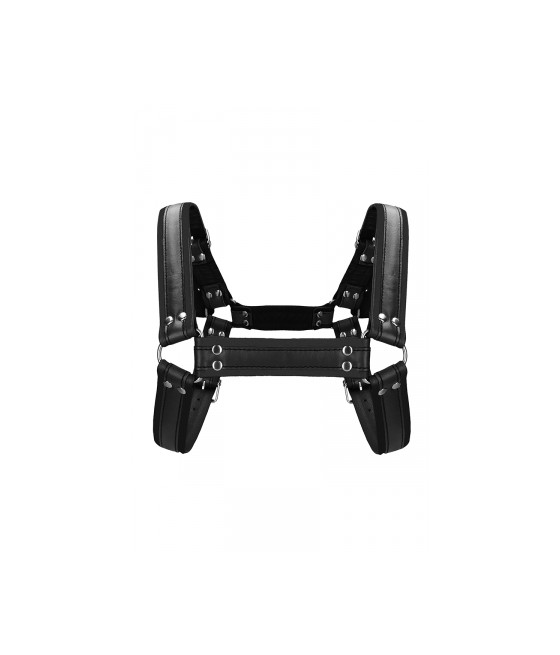 Harnais Buckle Bulldog noir - Ouch!