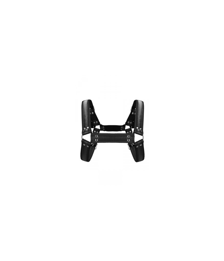 Harnais Buckle Bulldog noir - Ouch!