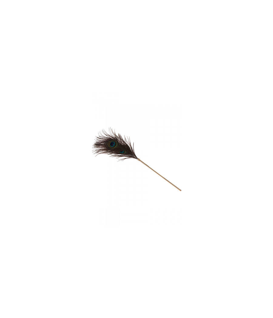Plumeau à caresses Peacock Tickler - Taboom