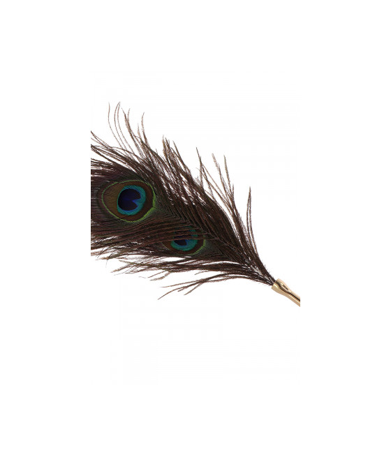 Plumeau à caresses Peacock Tickler - Taboom