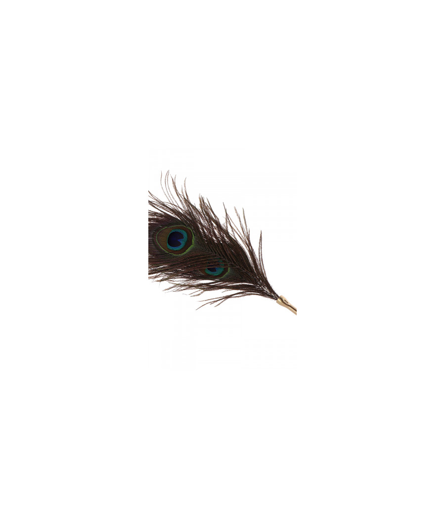 Plumeau à caresses Peacock Tickler - Taboom