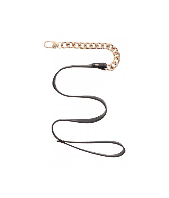 Collier et laisse Statement - Taboom