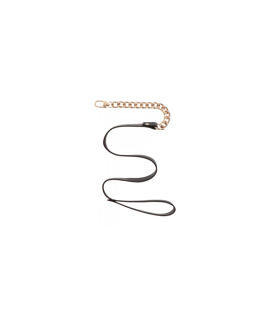 Collier et laisse Statement - Taboom