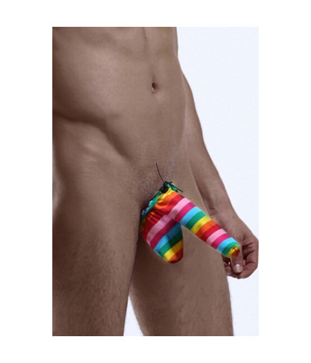 Cache-sexe multicolore