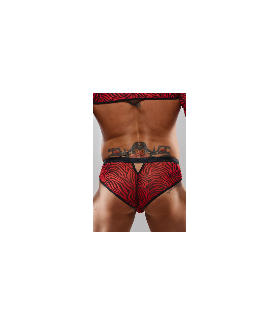 Slip type brésilien zébré rouge et noir - Regnes