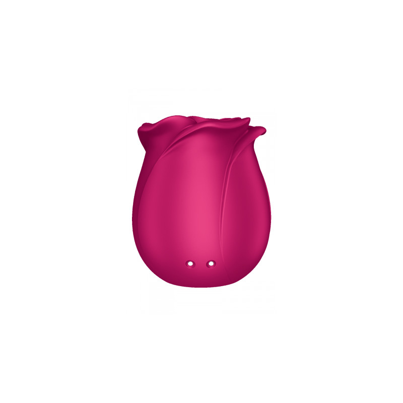 Stimulateur clitoridien Satisfyer Pro 2 Classic Blossom