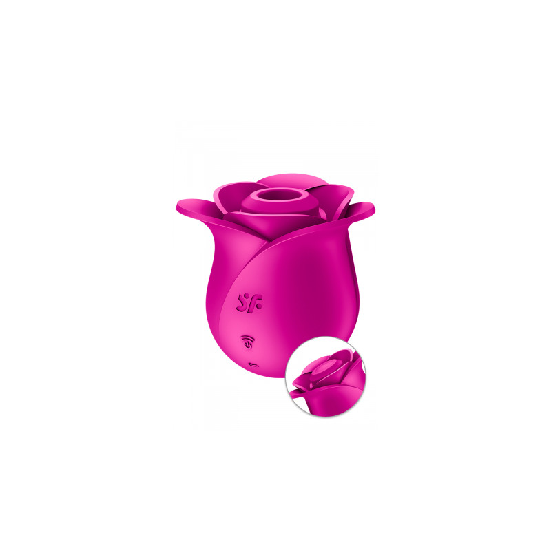 Stimulateur clitoridien Satisfyer Pro 2 Modern Blossom