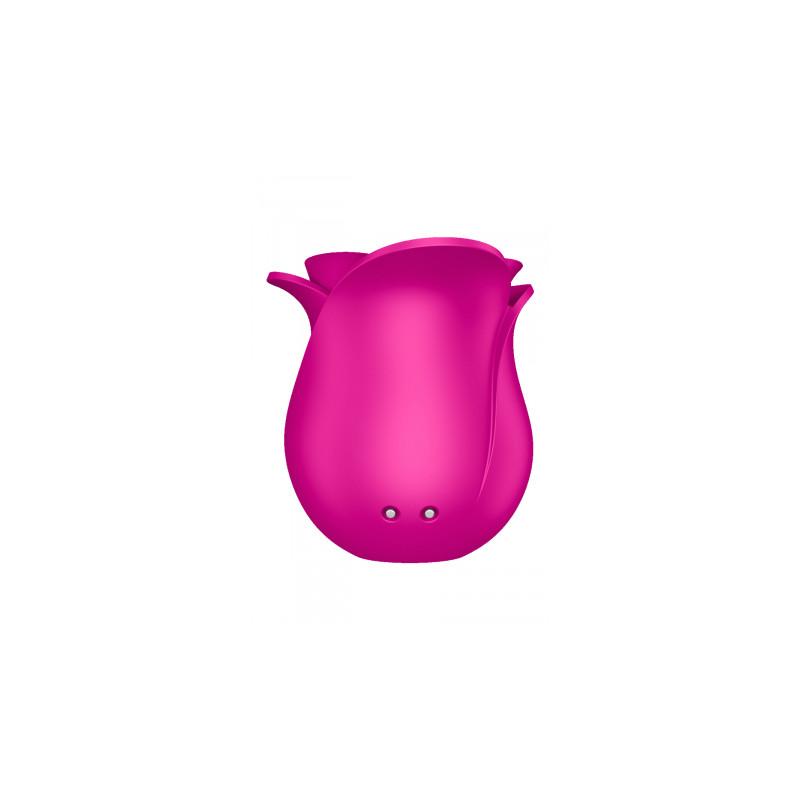 Stimulateur clitoridien Satisfyer Pro 2 Modern Blossom