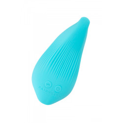 Mini vibro rechargeable DelightfulWave bleu - FairyGasm