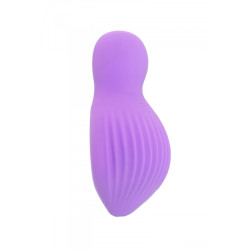 Mini vibro rechargeable EnchantedDesire violet - FairyGasm