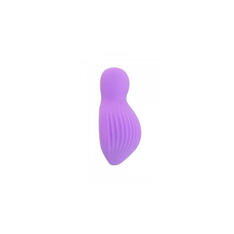 Mini vibro rechargeable EnchantedDesire violet - FairyGasm