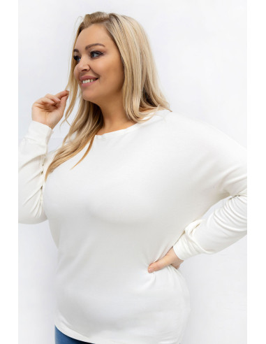 Chemisier grande taille Classique