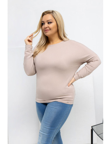Chemisier grande taille Classique