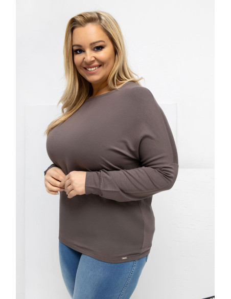 Chemisier grande taille Classique