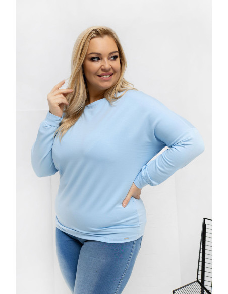 Chemisier grande taille Classique