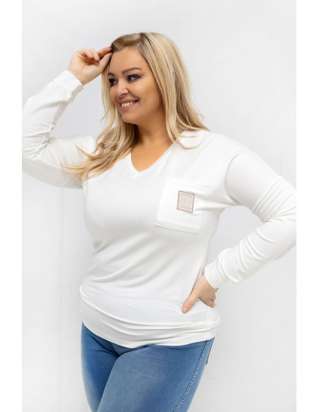 Chemisier grande taille Classique