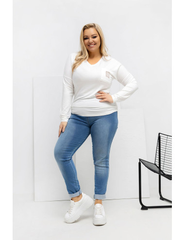 Chemisier grande taille Classique
