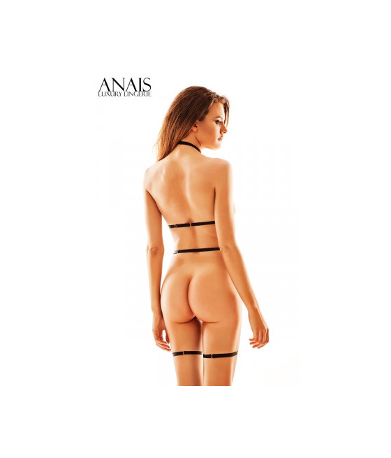 Ensemble harnais Sparkle