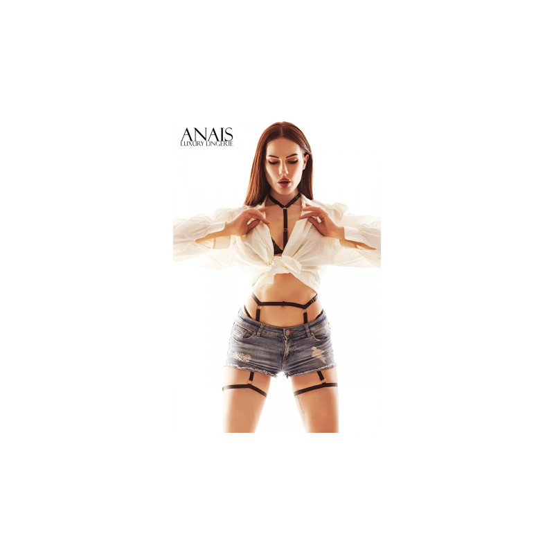 Ensemble harnais Sparkle